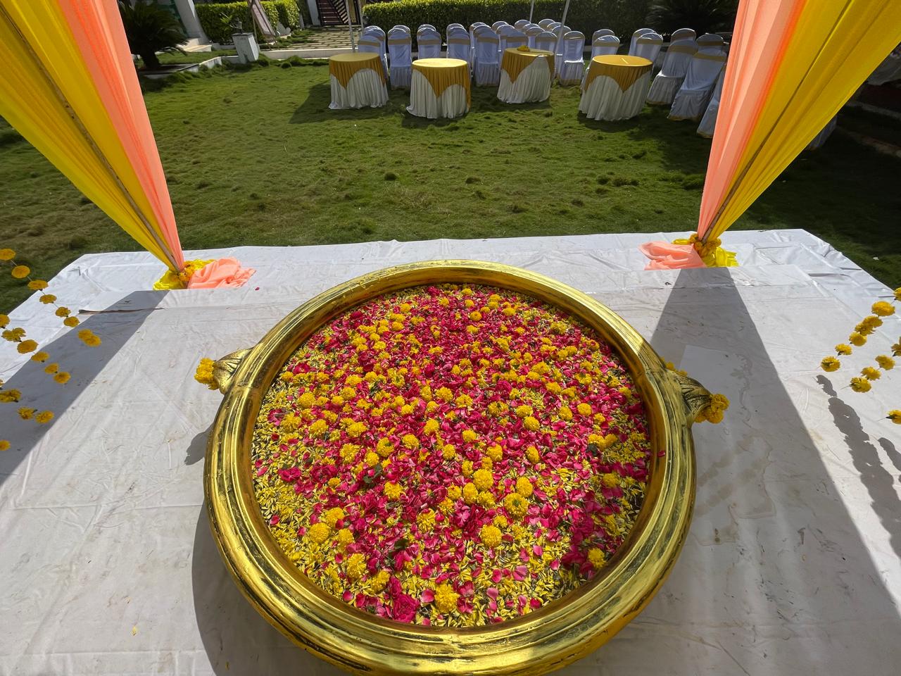 Traditional haldi celebrations in a peaceful farm setting