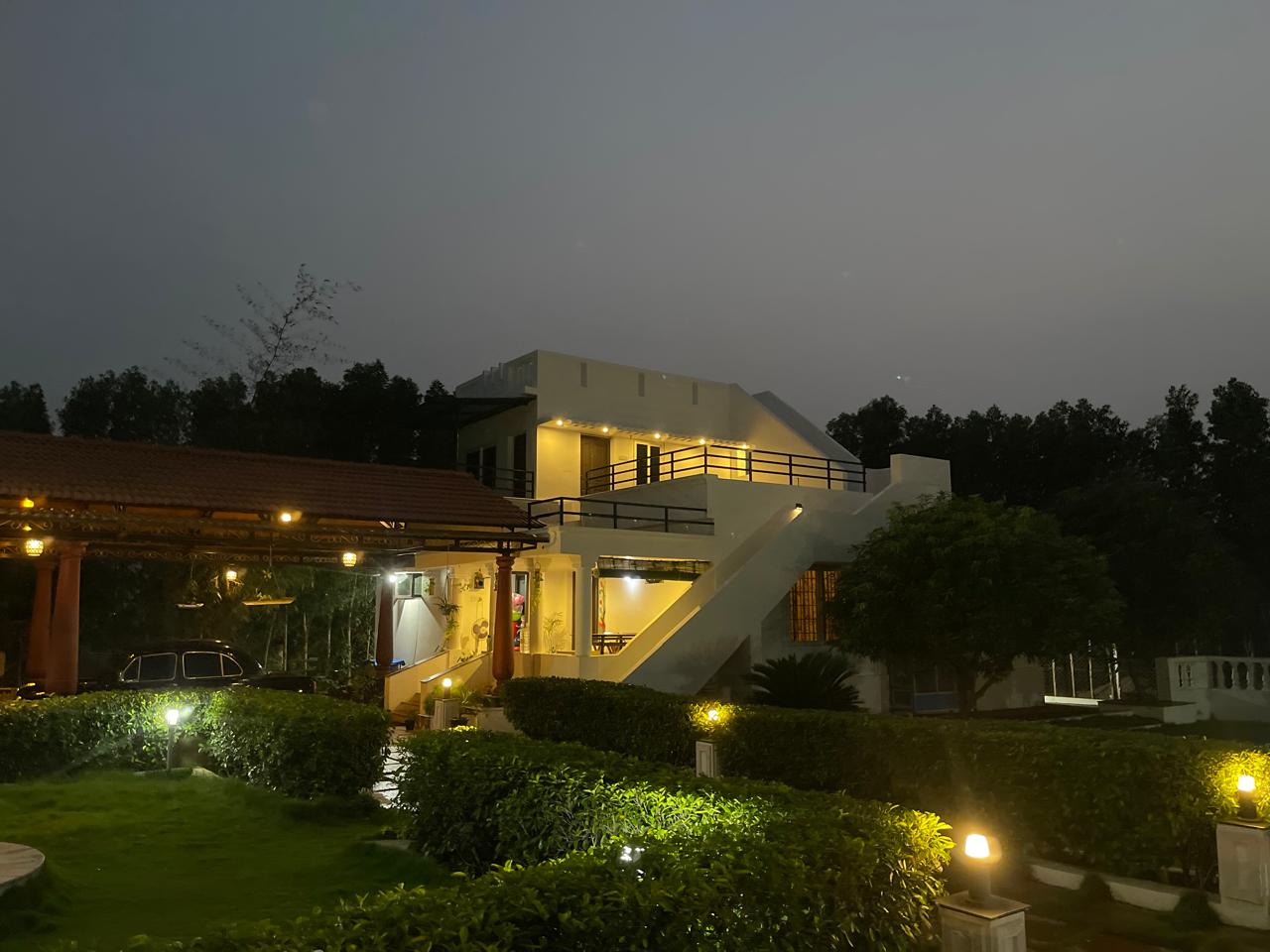 Golden view of the night